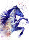 Digital Artwork941 (PRT_12012) - Canvas Art Print - 14in X 19in