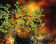 Tree Abstract  (PRT_7809_63954) - Canvas Art Print - 36in X 28in