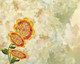 Flowers Abstract  (PRT_7809_63948) - Canvas Art Print - 36in X 28in