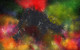 Abstract  (PRT_7809_64312) - Canvas Art Print - 36in X 24in