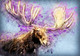 Barren-Ground Caribou Reindeer (PRT_7809_64570) - Canvas Art Print - 36in X 25in