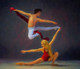 Ballet Dance Performance Beauty (PRT_7809_64564) - Canvas Art Print - 36in X 30in