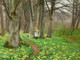 To Piger Plukker Blomster I For√•rsskov (1903) By Hans Andersen Brendekilde (PRT_13146) - Canvas Art Print - 19in X 14in