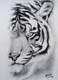 Fierce tiger  (ART_1288_64635) - Handpainted Art Painting - 11in X 15in