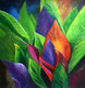 Coloful Leafts,Multi color leaft
