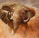ELEPHANT PAINTING AS PER VASTU BY ARTOHOLIC (ART_3319_65186) - Handpainted Art Painting - 30in X 30in