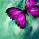 Butterfly,Inset,Beautiful Butterfly