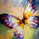 Butterfly,Inset,Beautiful Butterfly