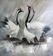 Swan Family,three birds
