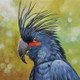 PALM COCKATOO PARROT BY ARTOHOLIC (ART_3319_64925) - Handpainted Art Painting - 30in X 30in