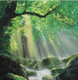 WAY TO HEAVEN BY ARTOHOLIC (ART_3319_64918) - Handpainted Art Painting - 30in X 30in