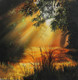 CALMING SUN RISE SCENERY BY ARTOHOLIC (ART_3319_64913) - Handpainted Art Painting - 30in X 30in