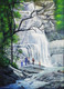 Thusharagiri waterfalls (PRT_7964_64815) - Canvas Art Print - 18in X 24in