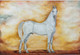 Marwari stallion albaksh (ART_2078_64697) - Handpainted Art Painting - 36in X 24in