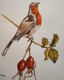 Bird painting (ART_8510_65517) - Handpainted Art Painting - 12in X 17in