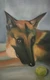 Adore (ART_199_66064) - Handpainted Art Painting - 15in X 24in