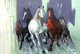 Strength and Valor06 - 36in X 24in,RAJVEN21_3624,Acrylic Colors,Race,Horses,Racing,Achiver,Riding - Buy Paintings online in India