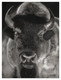 Black Bull (ART_8501_66555) - Handpainted Art Painting - 24in X 33in