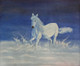 White running horse  (ART_8397_62724) - Handpainted Art Painting - 12in X 10in