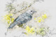 Bird Animal  (PRT_7809_67213) - Canvas Art Print - 33in X 22in