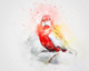 Bird Color  (PRT_7809_67264) - Canvas Art Print - 27in X 21in