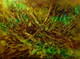 Color Of Nature (ART_8618_67267) - Handpainted Art Painting - 48in X 36in