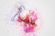Bird Pink  (PRT_7809_67381) - Canvas Art Print - 27in X 18in