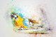 Bird Parrot  (PRT_7809_67370) - Canvas Art Print - 27in X 18in