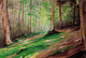 Wooden Valley (ART_5868_67574) - Handpainted Art Painting - 50 in X 35in