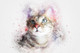 Cat Looking Kitty (PRT_7809_67795) - Canvas Art Print - 24in X 16in