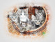 Cat Basket  (PRT_7809_67733) - Canvas Art Print - 25in X 19in