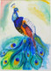 Peacock (ART_8629_67979) - Handpainted Art Painting - 12in X 17in