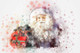 Christmas_Santa_Claus_ (PRT_7809_68019) - Canvas Art Print - 24in X 16in