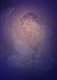 AJANTA LADY 1- (SJAC11A) (PRT_5750_65609) - Canvas Art Print - 29in X 40in