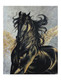 Black Beauty (ART_7946_68189) - Handpainted Art Painting - 24in X 30in