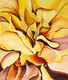 Abstract Blooming Yellow Peony Flower (ART_8034_59162) - Handpainted Art Painting - 14in X 16in