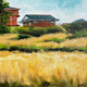 Wheat Fields At Barot (ART_6676_68717) - Handpainted Art Painting - 24in X 24in