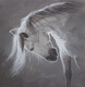 HORSE PAINTING BY ARTOHOLIC (ART_3319_69231) - Handpainted Art Painting - 24in X 24in