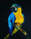 Vibrant Macaw.. (ART_8519_69494) - Handpainted Art Painting - 8in X 11in
