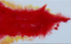 PACE & POWER (ART_8799_70045) - Handpainted Art Painting - 25in X 16in