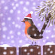 Winter Robin (PRT_8784_69954) - Canvas Art Print - 26in X 26in