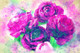 Flowers  (PRT_7809_70242) - Canvas Art Print - 26in X 17in