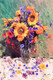 Flowers Floral  (PRT_7809_70396) - Canvas Art Print - 16in X 23in