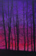 Fire in the sky (ART_8160_70357) - Handpainted Art Painting - 11in X 15in