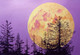 Super Moon (ART_8160_70351) - Handpainted Art Painting - 16in X 12in