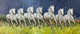 7 gud luck running horses  (ART_1522_70929) - Handpainted Art Painting - 108in X 48in