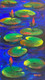 Waterlilies (ART_3512_71254) - Handpainted Art Painting - 10in X 22in