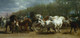 The Horse Fair (1852) By Rosa Bonheur (PRT_15602) - Canvas Art Print - 21in X 10in