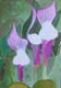 Cala Lilly  (PRT_8429_71780) - Canvas Art Print - 24in X 36in