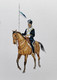 British indian army cavalryman (ART_4354_72178) - Handpainted Art Painting - 8in X 11in